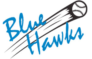 Naar de website van Blue Hawks